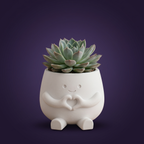 Maceta Hearty fondo estudio morado