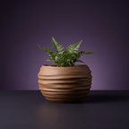 Maceta Japandi fondo estudio morado