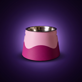 Soporte Elevado para Plato de Mascota
